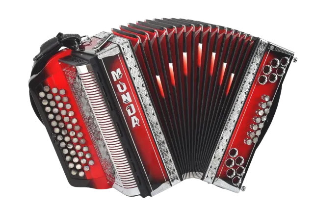 Harmonika Munda Flavia, Javor rebraš