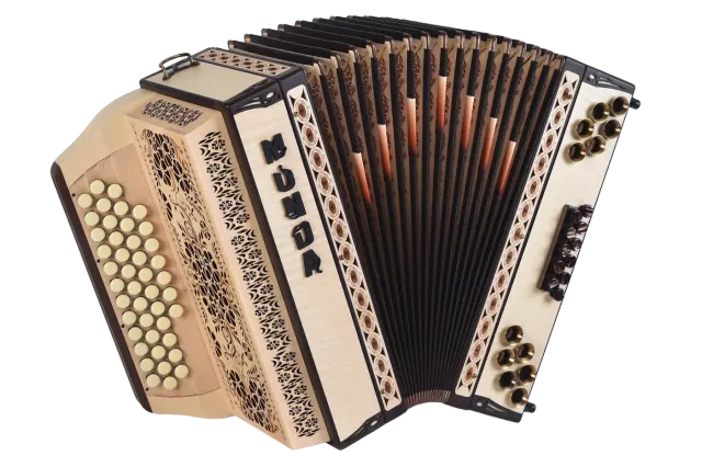 Harmonika Munda Natura, Javor rebraš