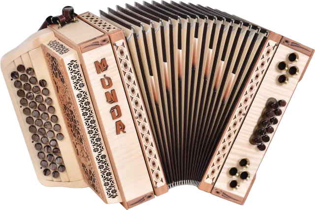 Harmonika Munda Natura, Javor rebraš